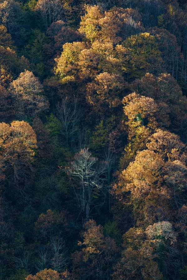 ¿Cuáles son los trucos para organizar un vestidor eficiente en un dormitorio pequeño?